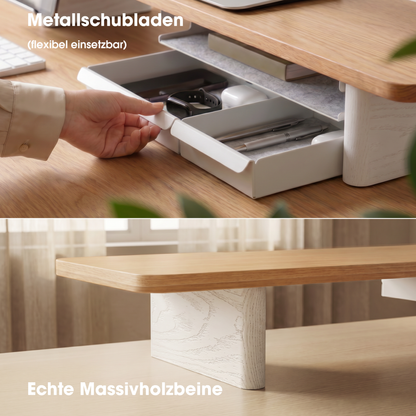 Matrix M210 Monitorständer