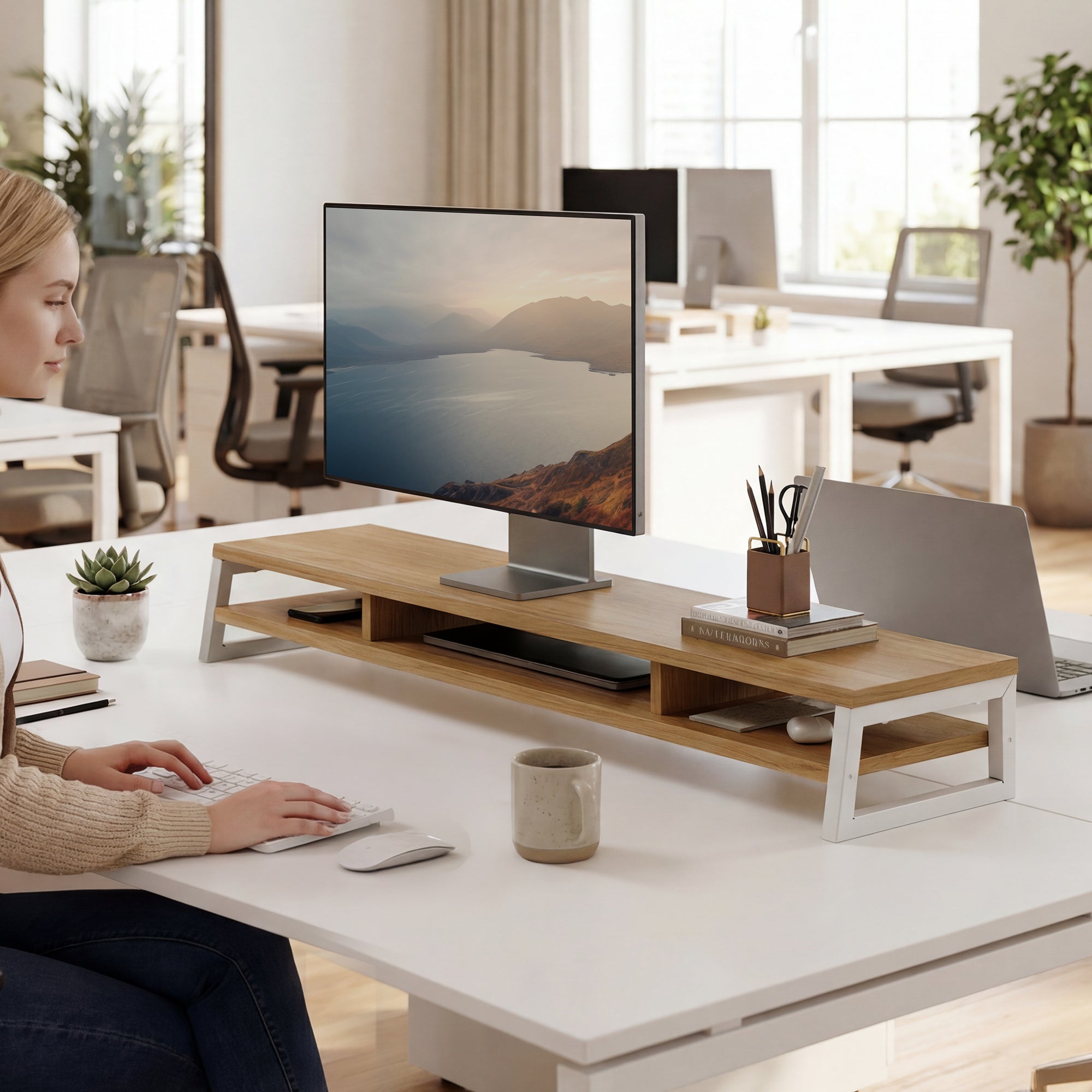 Frida F210 Monitorständer