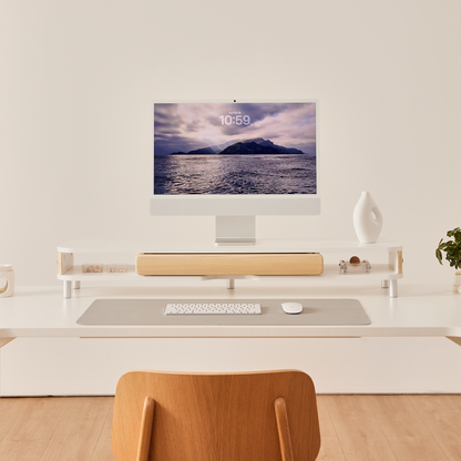 Bastion D510 Monitorständer